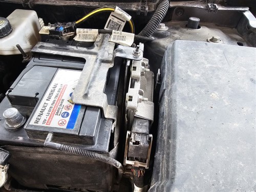 Austral çıkma motor beyni