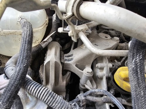 Austral çıkma motor kulağı